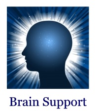 Brain Support
