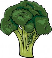 Broccoli